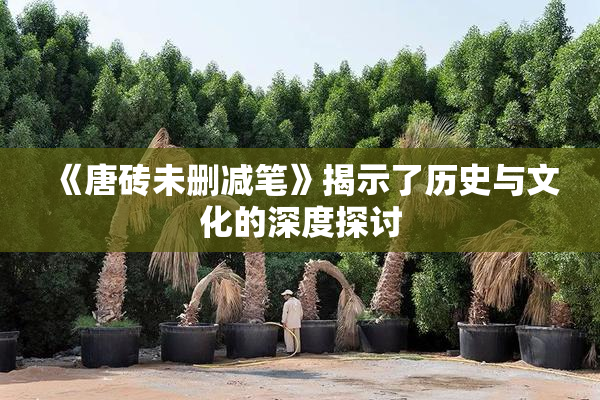 《唐砖未删减笔》揭示了历史与文化的深度探讨