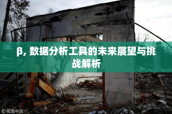 β, 数据分析工具的未来展望与挑战解析