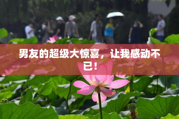 男友的超级大惊喜，让我感动不已！