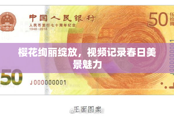 樱花绚丽绽放，视频记录春日美景魅力