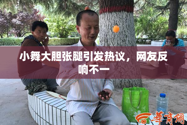 小舞大胆张腿引发热议，网友反响不一