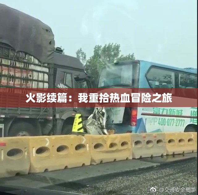 火影续篇：我重拾热血冒险之旅