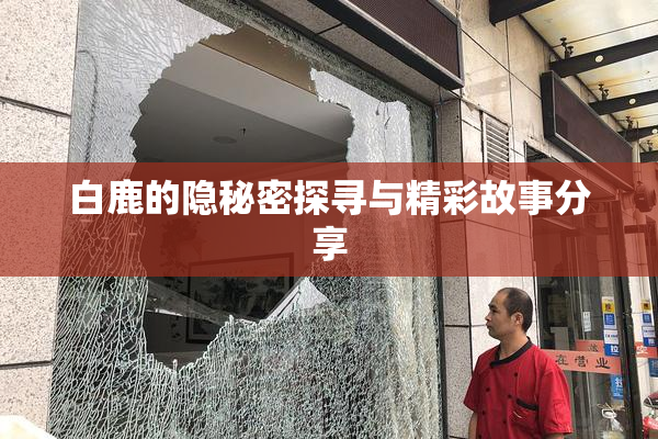 白鹿的隐秘密探寻与精彩故事分享