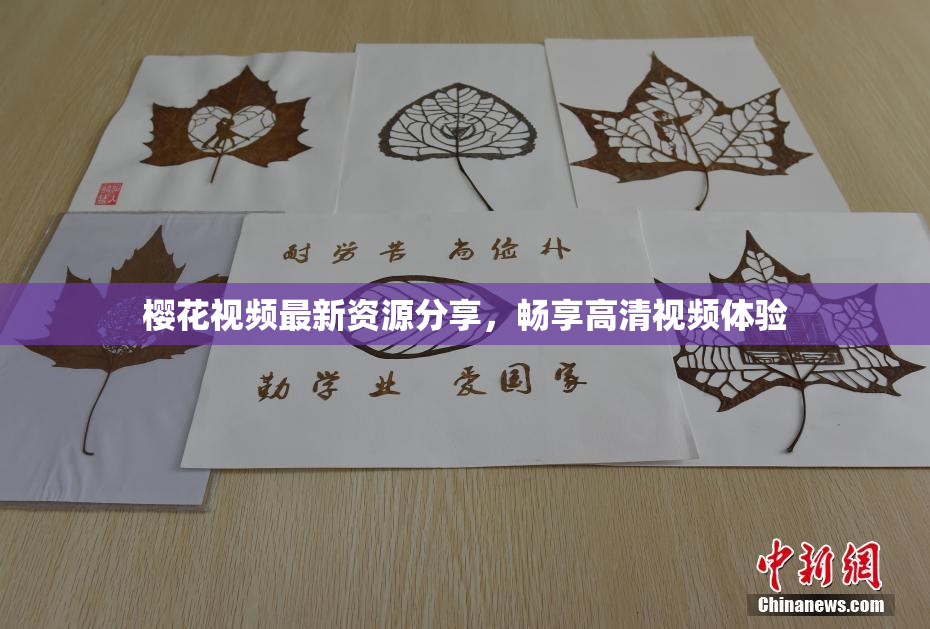 樱花视频最新资源分享，畅享高清视频体验