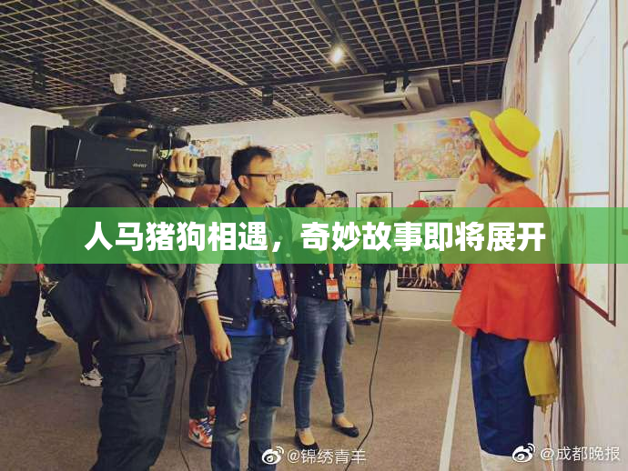 人马猪狗相遇，奇妙故事即将展开