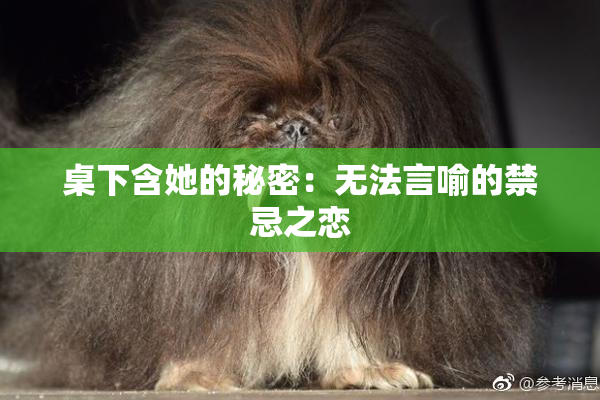 桌下含她的秘密：无法言喻的禁忌之恋