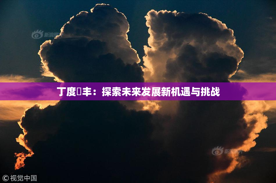 丁度巜丰：探索未来发展新机遇与挑战