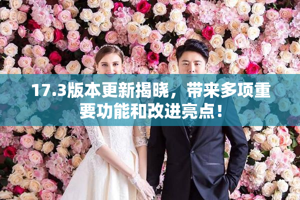 17.3版本更新揭晓，带来多项重要功能和改进亮点！