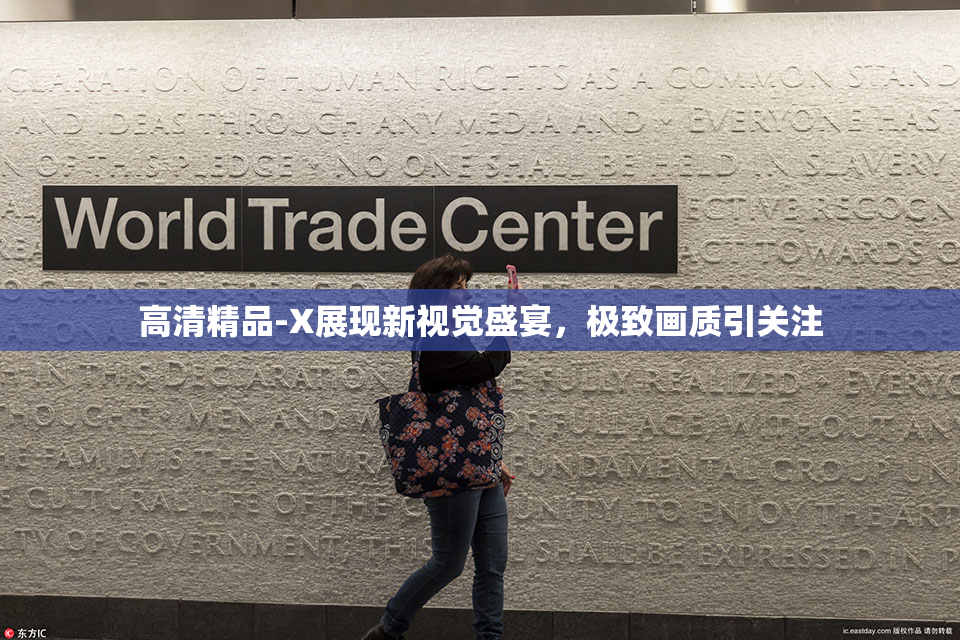 高清精品-X展现新视觉盛宴，极致画质引关注