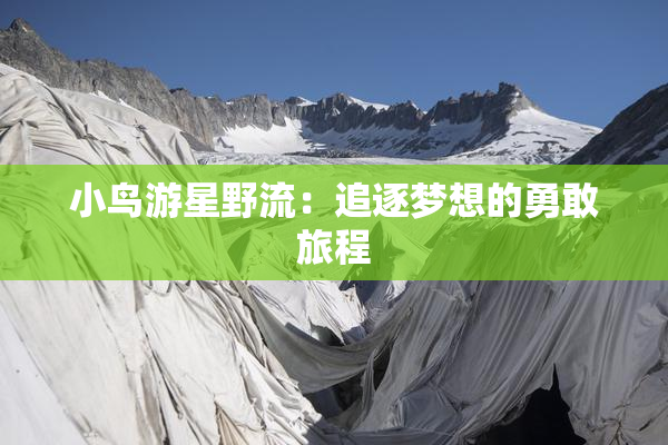 小鸟游星野流：追逐梦想的勇敢旅程