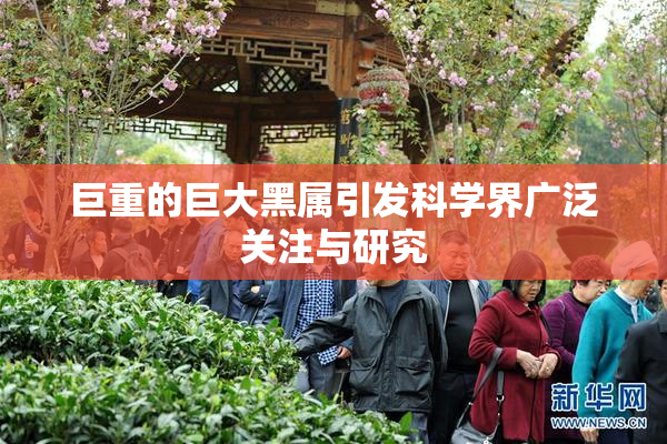 巨重的巨大黑属引发科学界广泛关注与研究