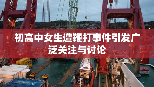 初高中女生遭鞭打事件引发广泛关注与讨论