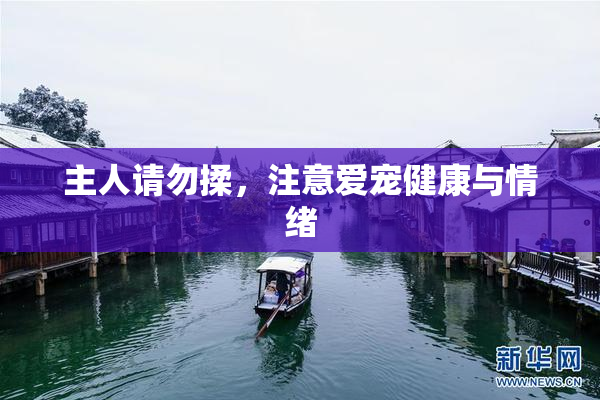 主人请勿揉，注意爱宠健康与情绪