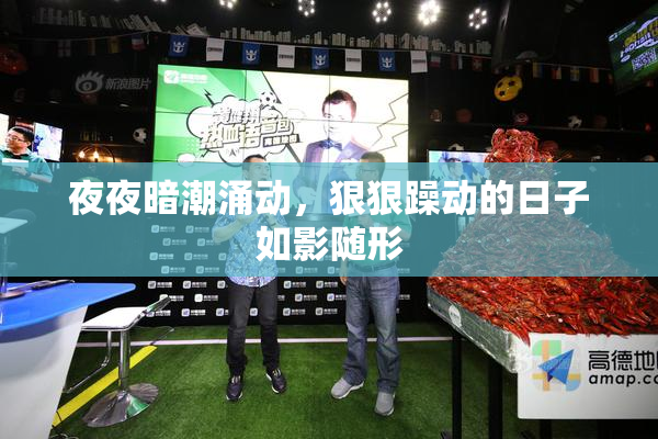夜夜暗潮涌动，狠狠躁动的日子如影随形