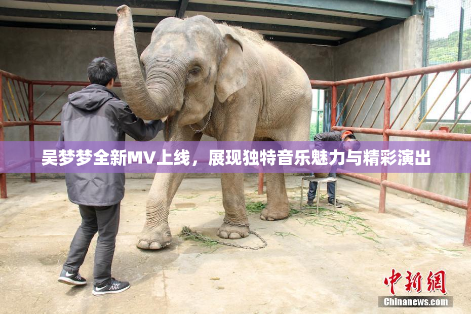 吴梦梦全新MV上线，展现独特音乐魅力与精彩演出