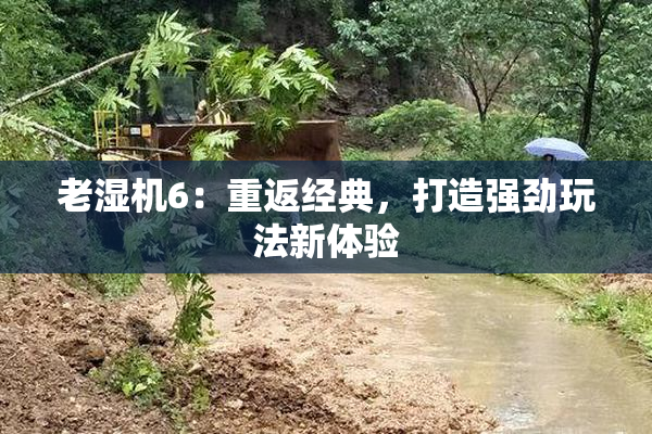 老湿机6：重返经典，打造强劲玩法新体验