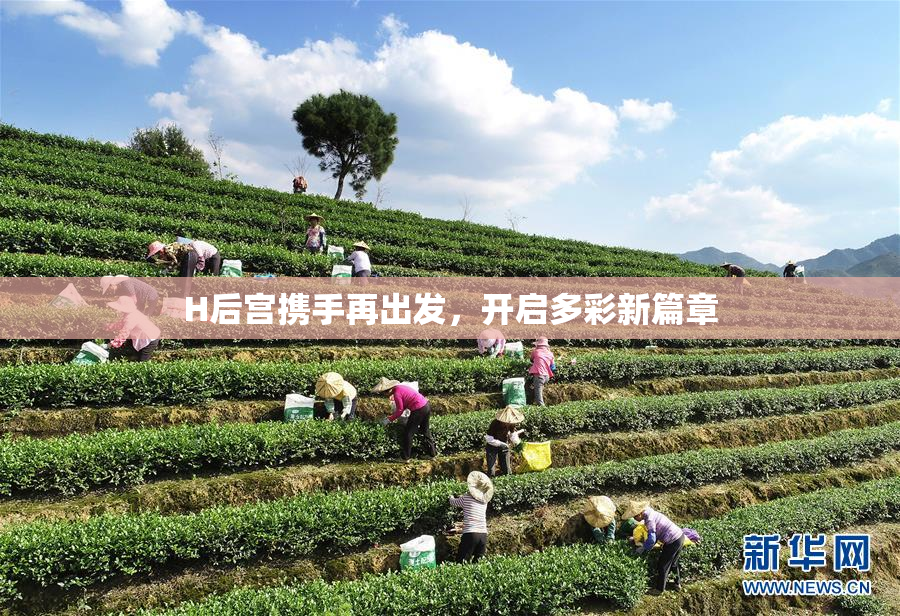 H后宫携手再出发，开启多彩新篇章