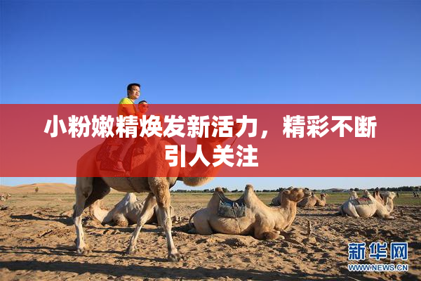 小粉嫩精焕发新活力，精彩不断引人关注