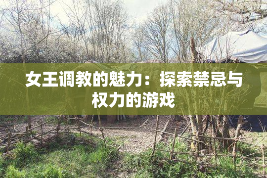 女王调教的魅力：探索禁忌与权力的游戏