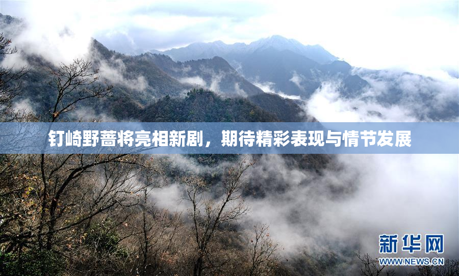 钉崎野蔷将亮相新剧，期待精彩表现与情节发展