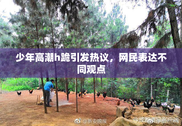 少年高潮h跪引发热议，网民表达不同观点