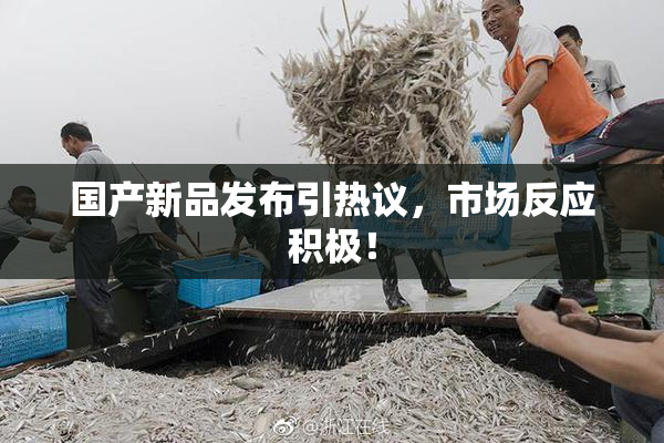 国产新品发布引热议，市场反应积极！