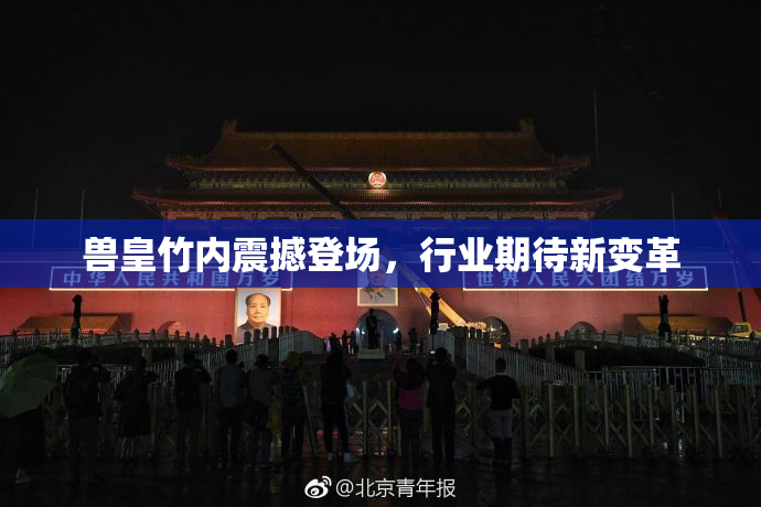 兽皇竹内震撼登场，行业期待新变革