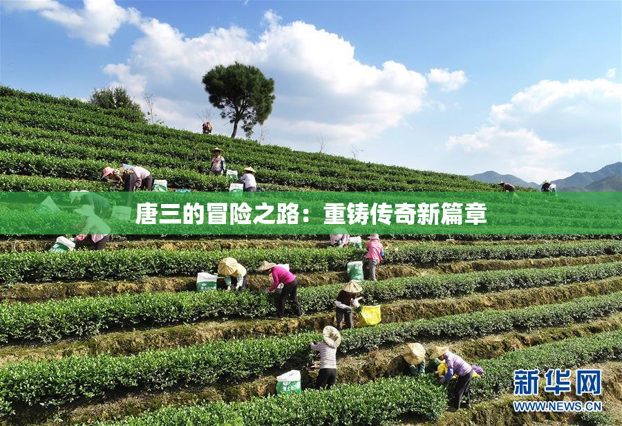 唐三的冒险之路：重铸传奇新篇章