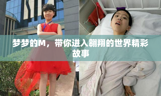 梦梦的M，带你进入翱翔的世界精彩故事