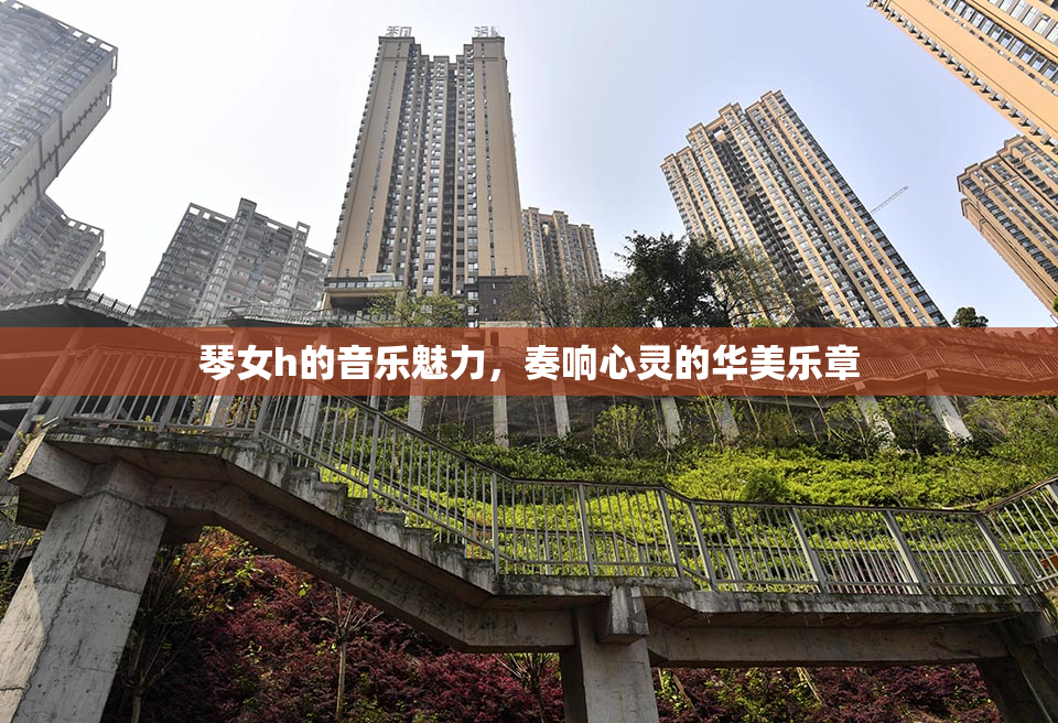 琴女h的音乐魅力，奏响心灵的华美乐章