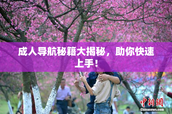 成人导航秘籍大揭秘，助你快速上手！
