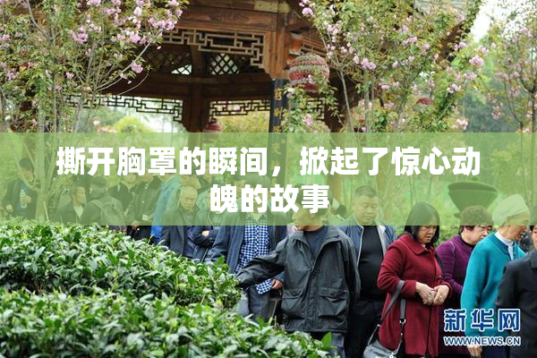 撕开胸罩的瞬间，掀起了惊心动魄的故事