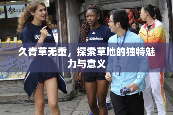 久青草无重，探索草地的独特魅力与意义