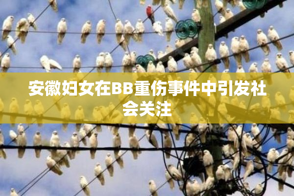 安徽妇女在BB重伤事件中引发社会关注
