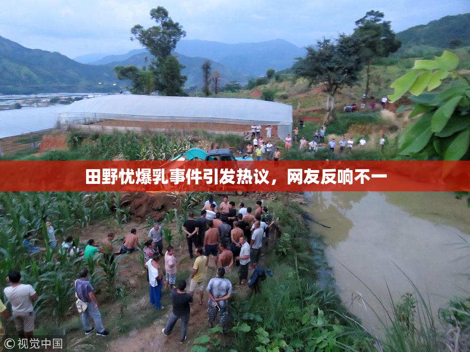 田野忧爆乳事件引发热议，网友反响不一