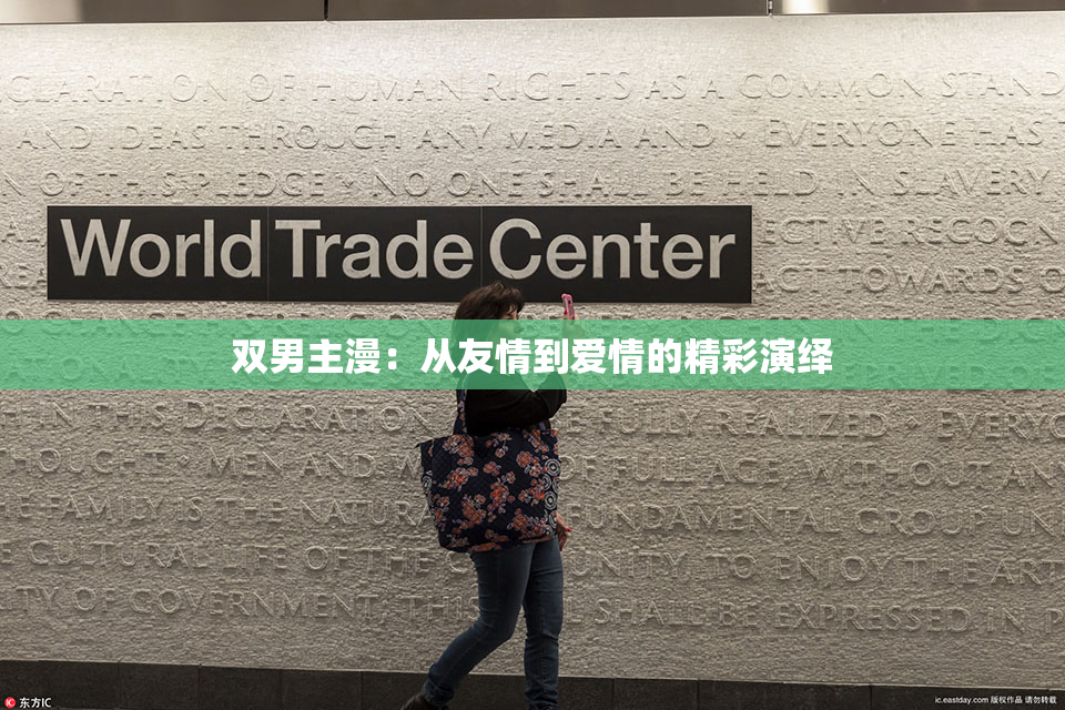 双男主漫：从友情到爱情的精彩演绎