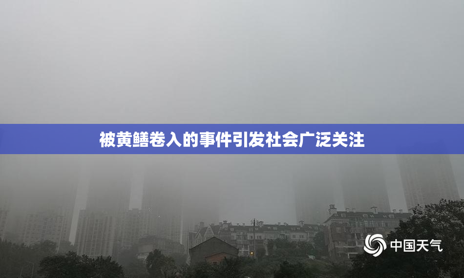 被黄鳝卷入的事件引发社会广泛关注