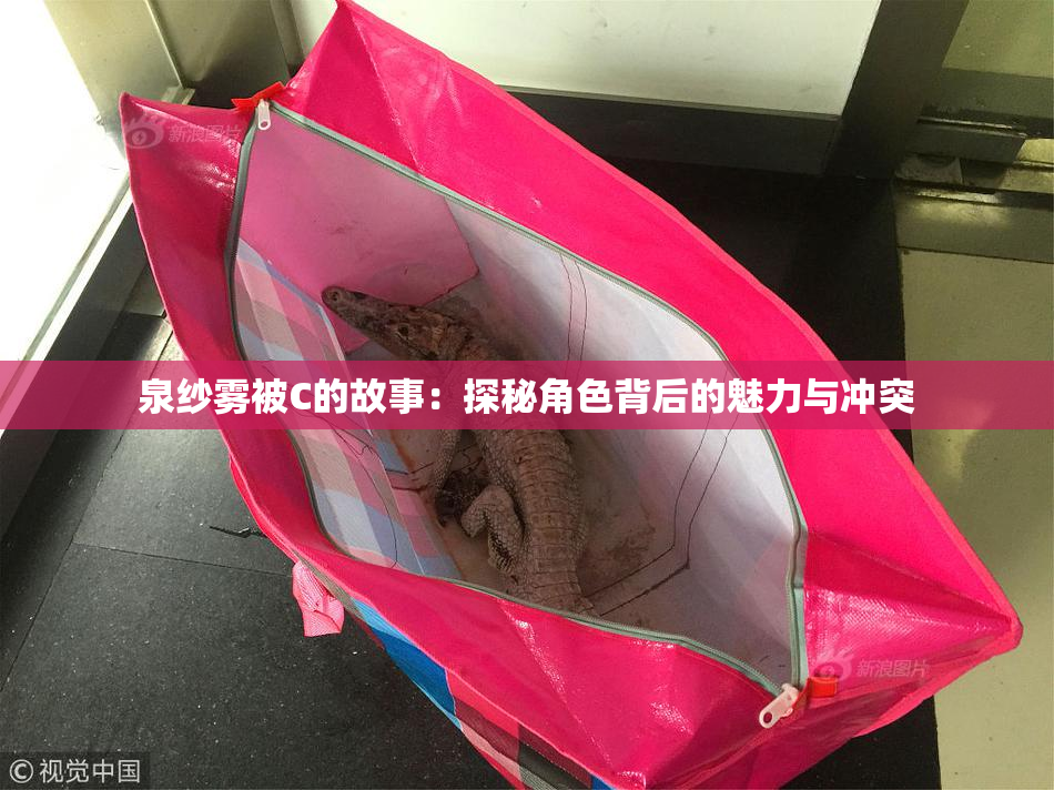 泉纱雾被C的故事：探秘角色背后的魅力与冲突