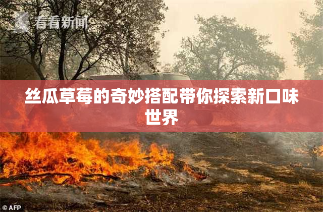 丝瓜草莓的奇妙搭配带你探索新口味世界