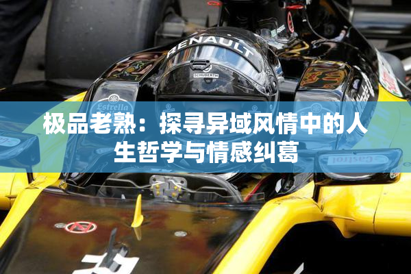极品老熟：探寻异域风情中的人生哲学与情感纠葛
