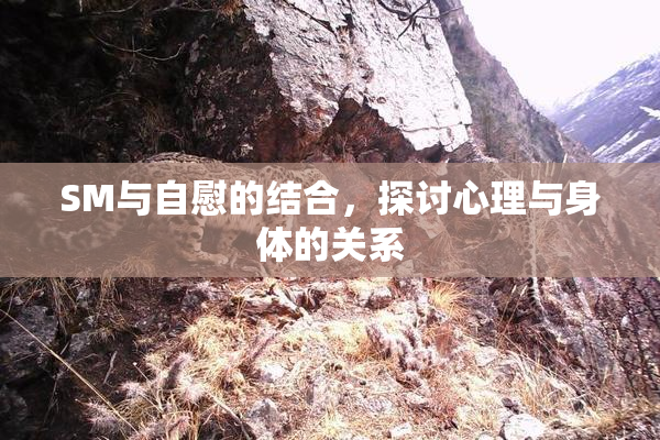 SM与自慰的结合，探讨心理与身体的关系