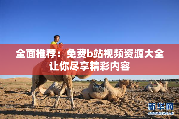 全面推荐：免费b站视频资源大全让你尽享精彩内容