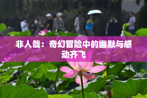 非人哉：奇幻冒险中的幽默与感动齐飞