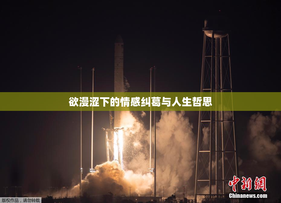 欲漫涩下的情感纠葛与人生哲思