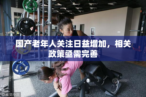 国产老年人关注日益增加，相关政策亟需完善