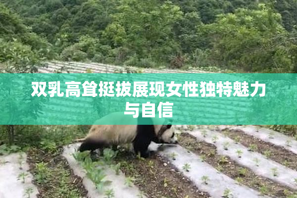 双乳高耸挺拔展现女性独特魅力与自信