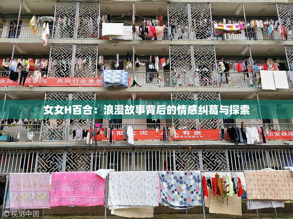 女女H百合：浪漫故事背后的情感纠葛与探索