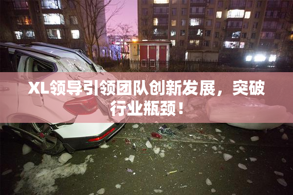XL领导引领团队创新发展，突破行业瓶颈！