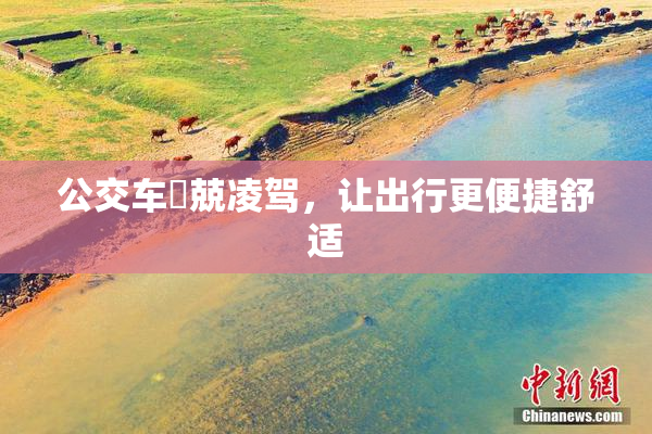 公交车妺兢凌驾，让出行更便捷舒适
