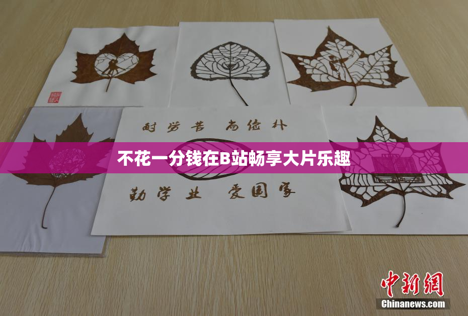 不花一分钱在B站畅享大片乐趣
